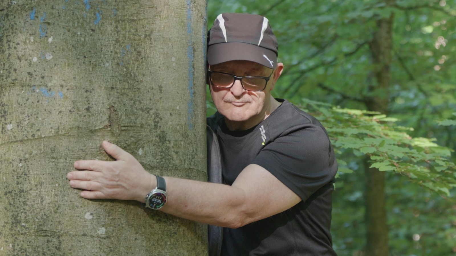 Waldbaden: Wie Bäume